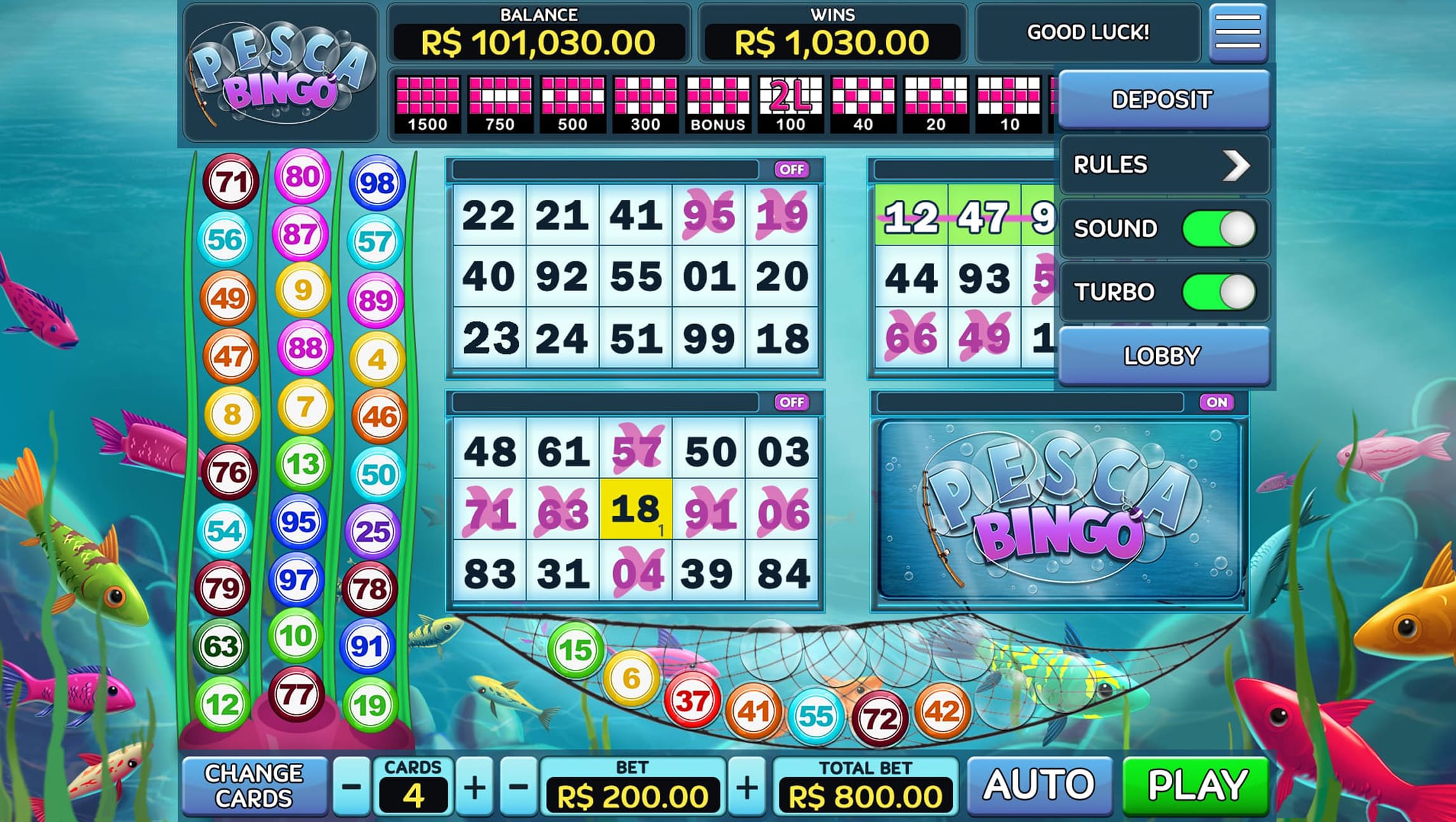 pesca bingo